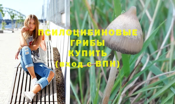 соль курить ск Армянск